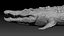 3D Crocodile Rigged 3D
