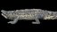 3D Crocodile Rigged 3D