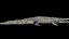3D Crocodile Rigged 3D