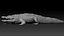 3D Crocodile Rigged 3D