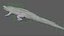 3D Crocodile Rigged 3D
