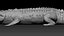 3D Crocodile Rigged 3D