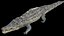 3D Crocodile Rigged 3D