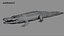 3D Crocodile Rigged 3D