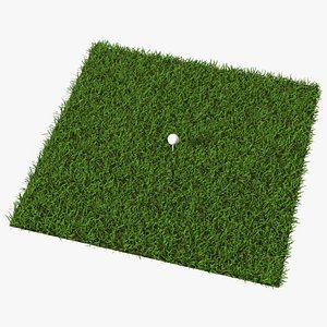 Golf Ball on Lawn 3D model