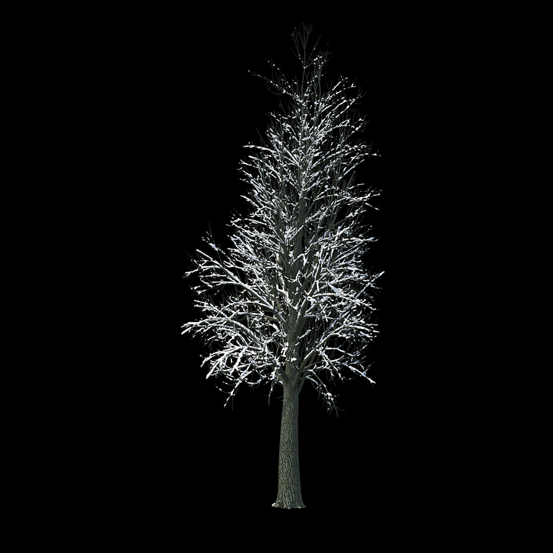 winter tree bush 3D model https://p.turbosquid.com/ts-thumb/dU/vUD9Qe/89msCfaO/winter_tree_turntable_0000copy/jpg/1515138521/1920x1080/turn_fit_q99/e92485d8ab32822607797c34ebd428f46752d56e/winter_tree_turntable_0000copy-1.jpg