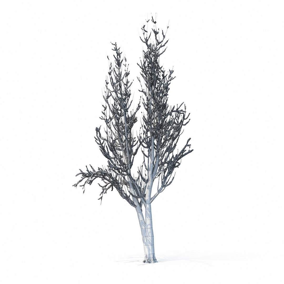 winter tree bush 3D model https://p.turbosquid.com/ts-thumb/dU/vUD9Qe/CpLJAMlg/w_01copy14/jpg/1515139101/1920x1080/fit_q87/acb473f58411eef9dab338f8b0c0b3d003c9a9d0/w_01copy14.jpg