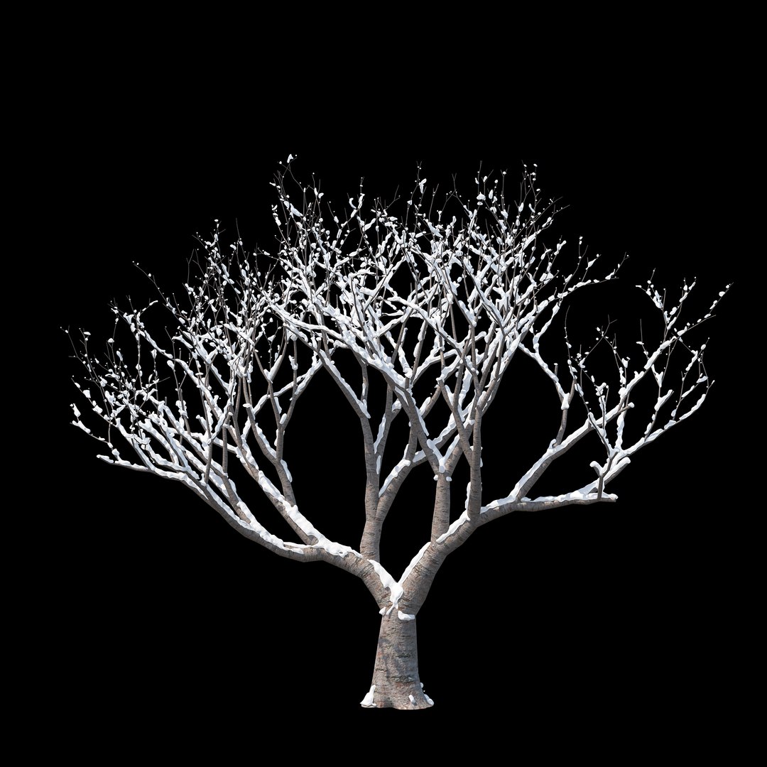winter tree bush 3D model https://p.turbosquid.com/ts-thumb/dU/vUD9Qe/GTNNP5L4/_winter_tree_010/jpg/1515139023/1920x1080/fit_q87/51878b2f7e39639858fa12b6d0fd4c7c011c4281/_winter_tree_010.jpg