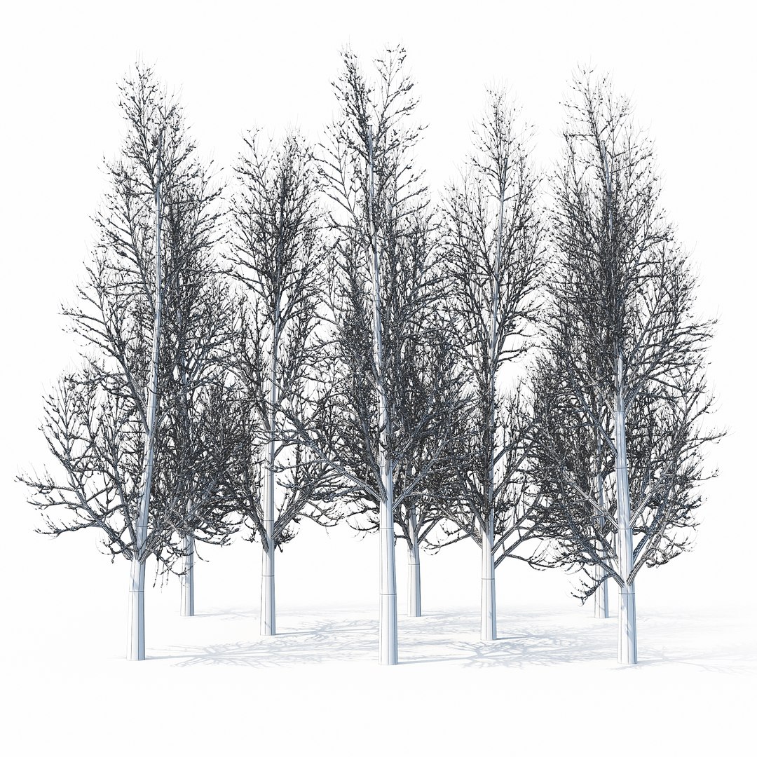winter tree bush 3D model https://p.turbosquid.com/ts-thumb/dU/vUD9Qe/Hlhvmg3x/w_01copy19/jpg/1515139101/1920x1080/fit_q87/3de5c0d0b95b972455ae84ad375d4718160244c7/w_01copy19.jpg