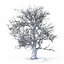 Colección Winter Tree &amp; Bush