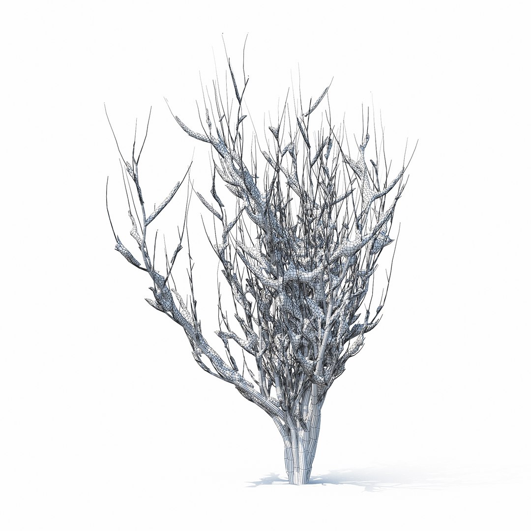 winter tree bush 3D model https://p.turbosquid.com/ts-thumb/dU/vUD9Qe/Jyj0hCZ1/w_01copy/jpg/1515139279/1920x1080/fit_q87/b093b17f62892f90f8d5144000696593feaad1c8/w_01copy.jpg