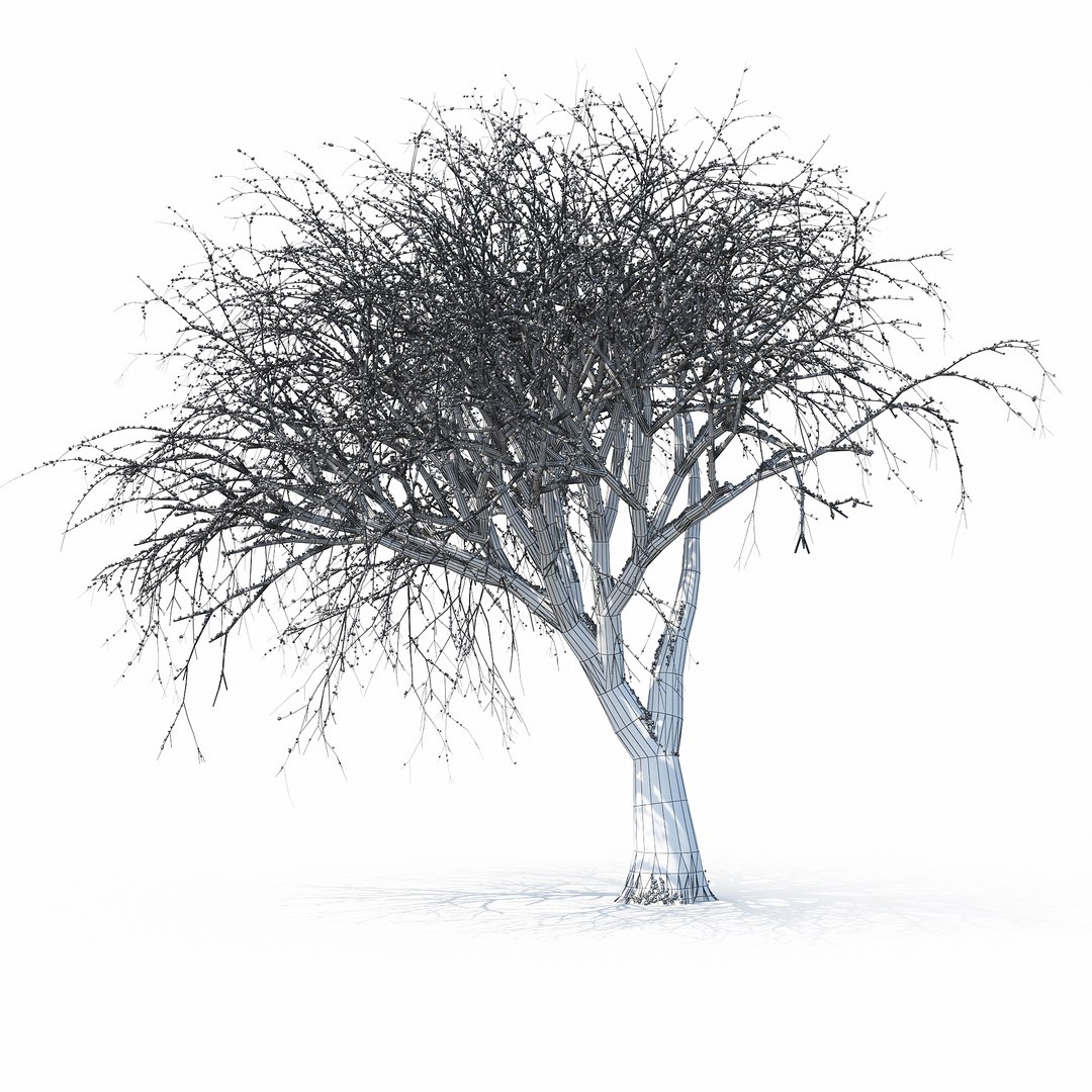 winter tree bush 3D model https://p.turbosquid.com/ts-thumb/dU/vUD9Qe/NT6tfjdf/w_01copy24/jpg/1515139101/1920x1080/fit_q87/77a3ae9f756afbb05ddf385ce4d4399ace38ef0c/w_01copy24.jpg
