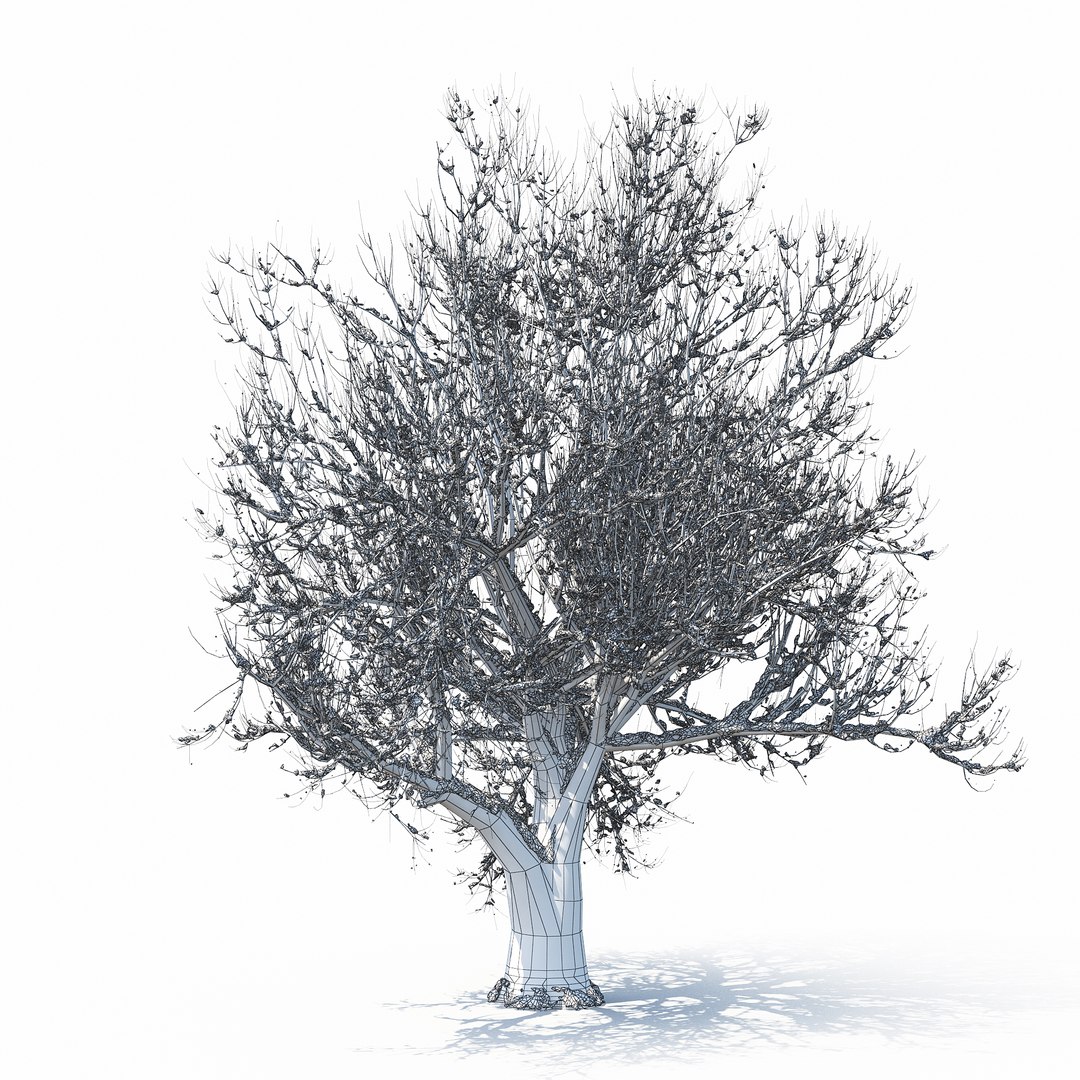 winter tree bush 3D model https://p.turbosquid.com/ts-thumb/dU/vUD9Qe/QXkKyRSQ/w_01copy32/jpg/1515139101/1920x1080/fit_q87/b1c987e72eda6d2ada1229130579ff81eb61cadb/w_01copy32.jpg