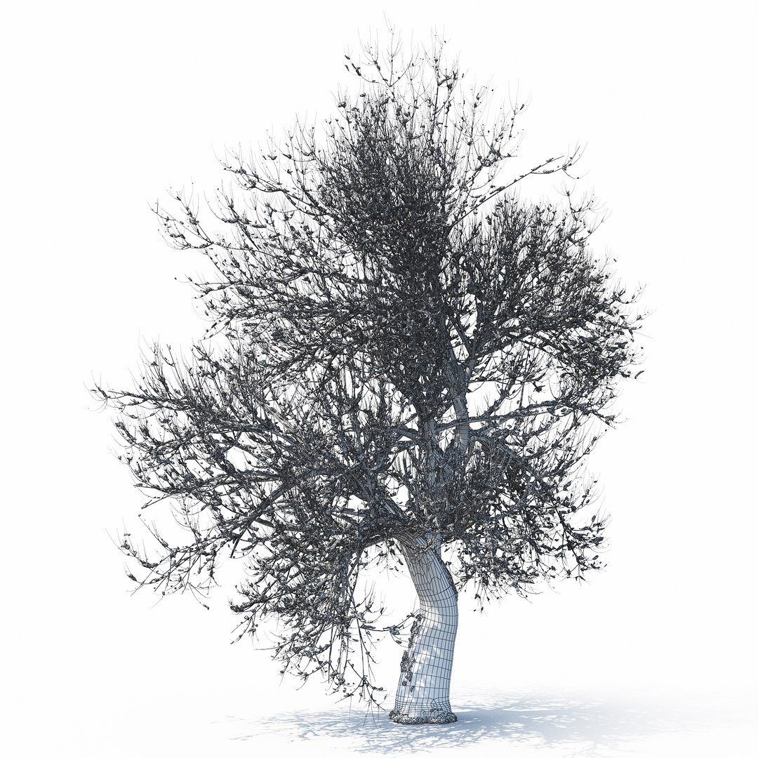 winter tree bush 3D model https://p.turbosquid.com/ts-thumb/dU/vUD9Qe/SeIbg3Hp/w_01copy30/jpg/1515139101/1920x1080/fit_q87/38d536efd5d4085adc13aed744506a87883afc52/w_01copy30.jpg