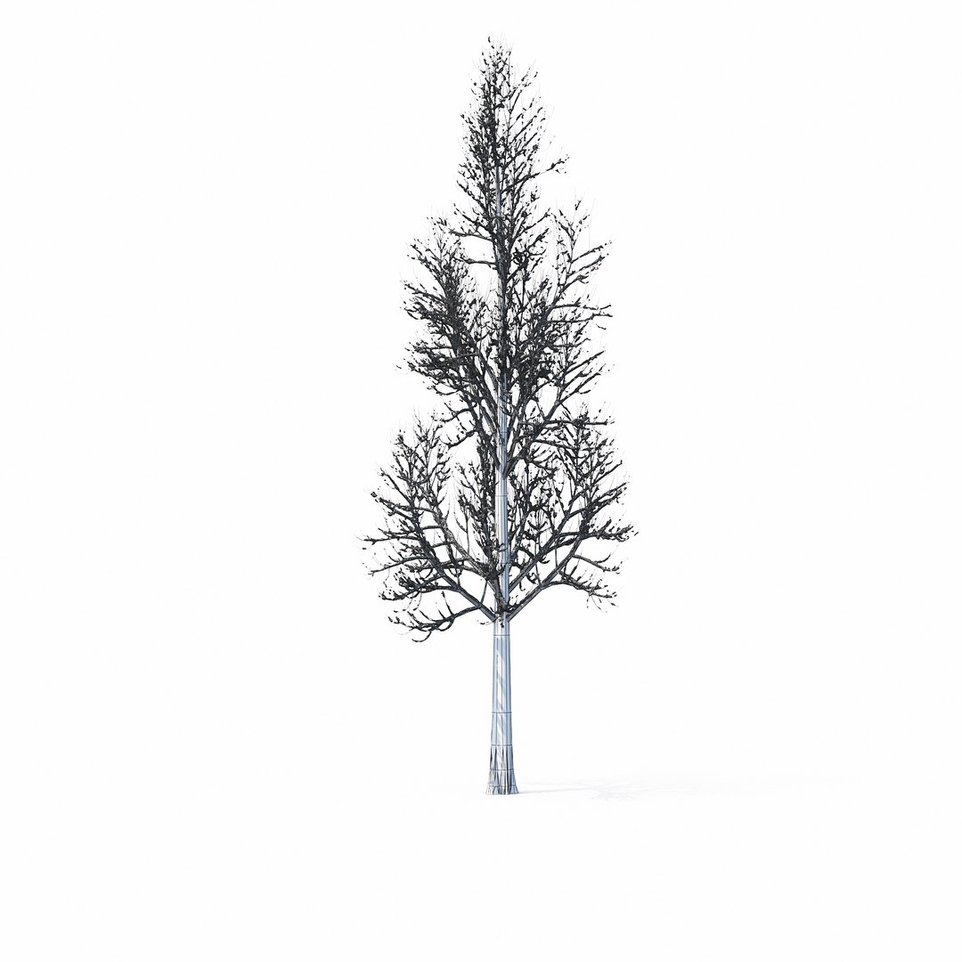 winter tree bush 3D model https://p.turbosquid.com/ts-thumb/dU/vUD9Qe/VJxZXne1/w_01copy23/jpg/1515139101/1920x1080/fit_q87/7e084b87a884c76aa15c7ba19f516d0d03a67540/w_01copy23.jpg