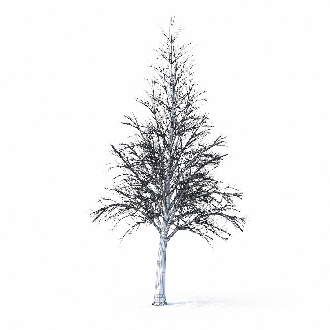 winter tree bush 3D model https://p.turbosquid.com/ts-thumb/dU/vUD9Qe/VvulUxx2/w_01copy3/jpg/1515139100/1920x1080/fit_q87/14495d4c355a2b11af6de3e9f091c7648d7de5aa/w_01copy3.jpg