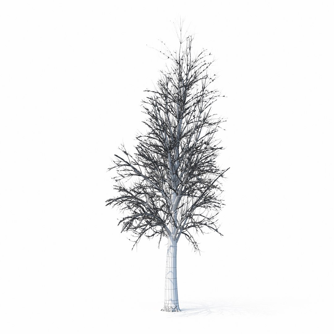 winter tree bush 3D model https://p.turbosquid.com/ts-thumb/dU/vUD9Qe/YIGhfAH1/w_01copy4/jpg/1515139100/1920x1080/fit_q87/f034b907415f153867c35b27c80e8a398559e737/w_01copy4.jpg