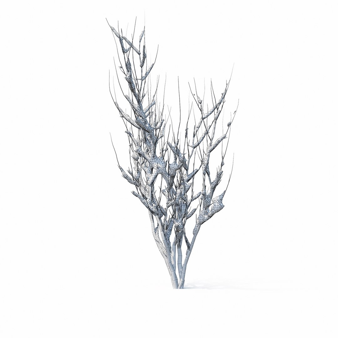 winter tree bush 3D model https://p.turbosquid.com/ts-thumb/dU/vUD9Qe/YMylClIf/w_01copy/jpg/1515139257/1920x1080/fit_q87/4faf9a1c6413cabedae5e8c30a83c5c9f7cd4acc/w_01copy.jpg