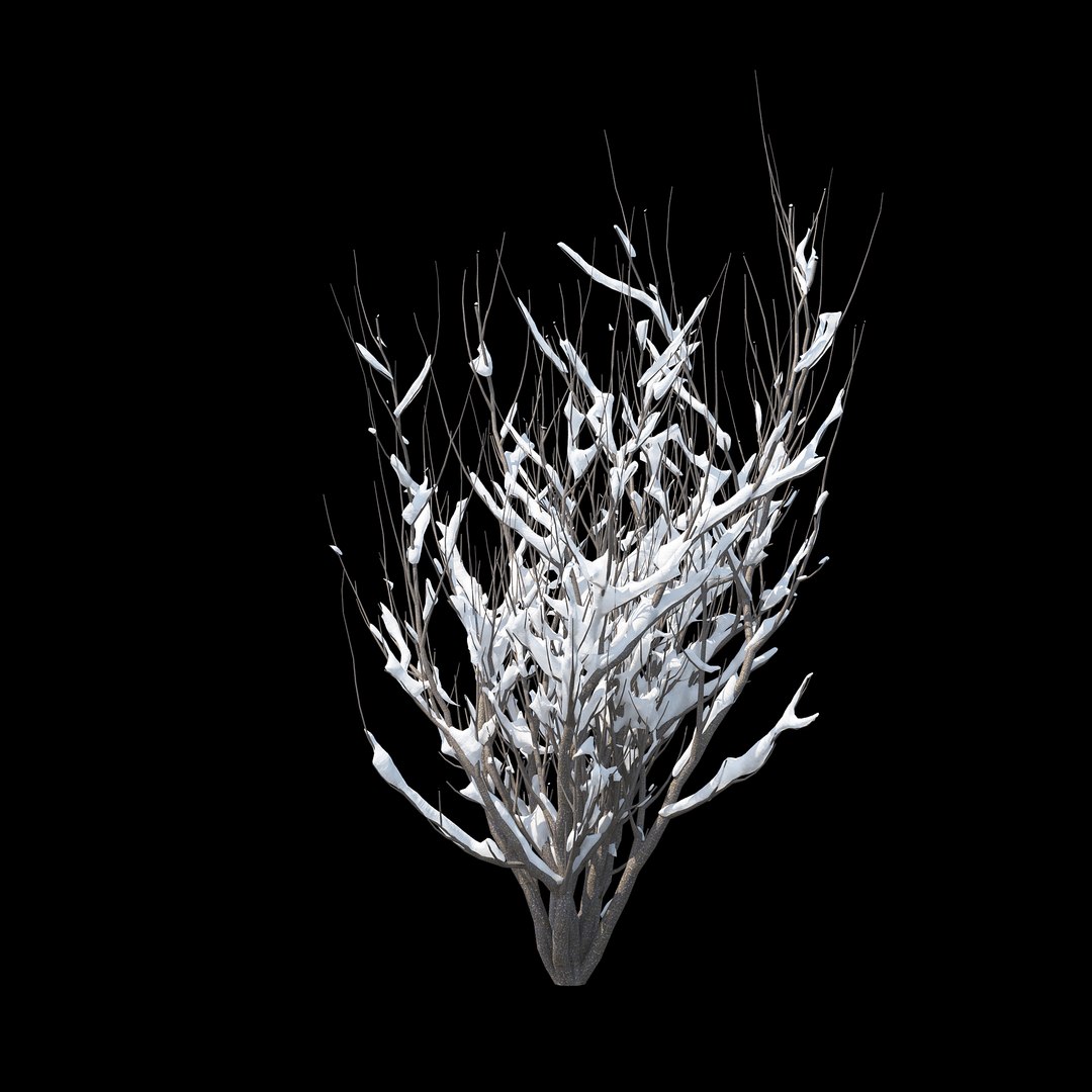 winter tree bush 3D model https://p.turbosquid.com/ts-thumb/dU/vUD9Qe/Yff4ODpj/_winter_bush_04/jpg/1515139026/1920x1080/fit_q87/840bd585ea45e7742dc12b587a425b1335d2c8ef/_winter_bush_04.jpg