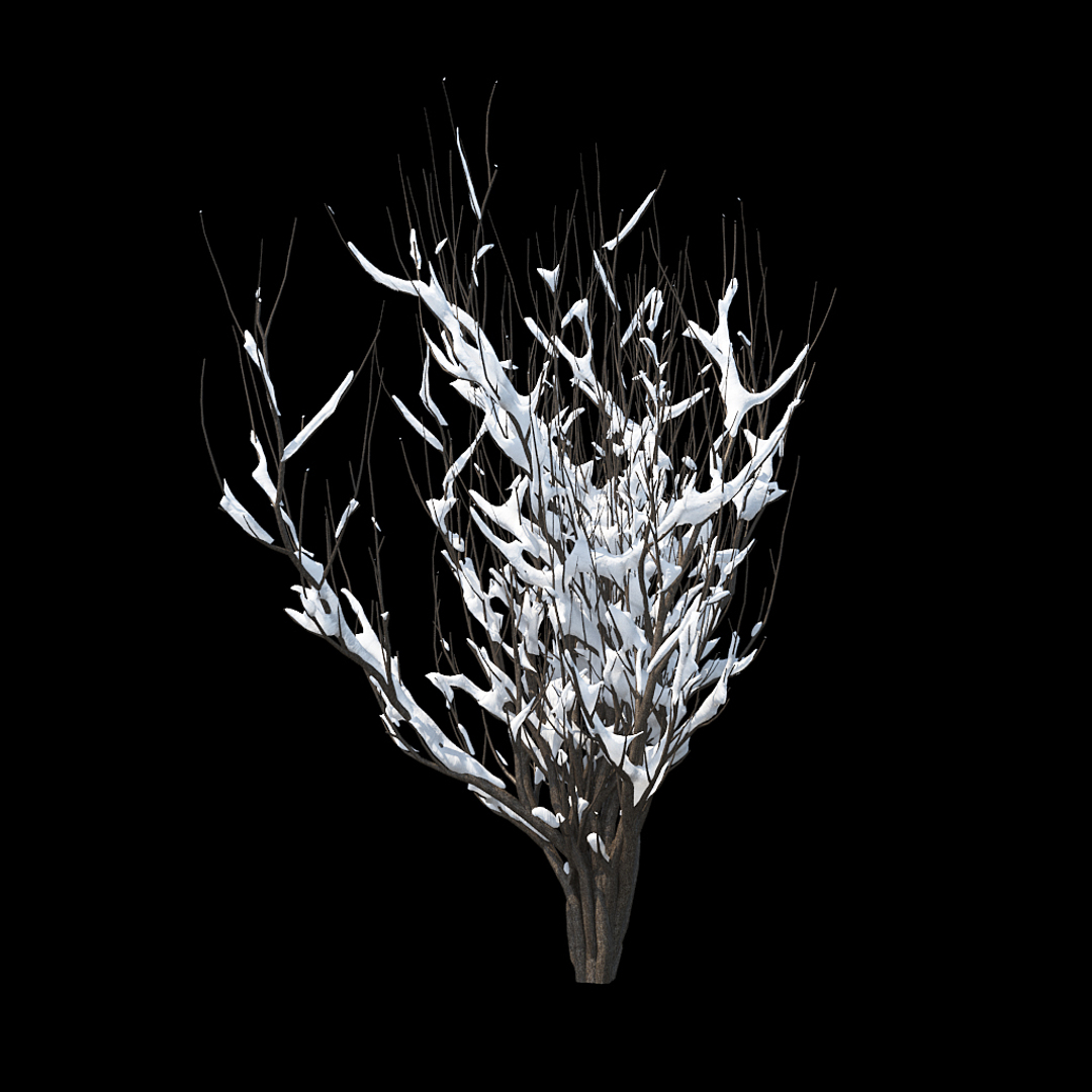 winter tree bush 3D model https://p.turbosquid.com/ts-thumb/dU/vUD9Qe/ZDUdZU5B/winter_tree_turntable_0000copy/jpg/1515138887/1920x1080/turn_fit_q99/aa495046482ff0caa26ecd873e2e521680d12fd5/winter_tree_turntable_0000copy-1.jpg