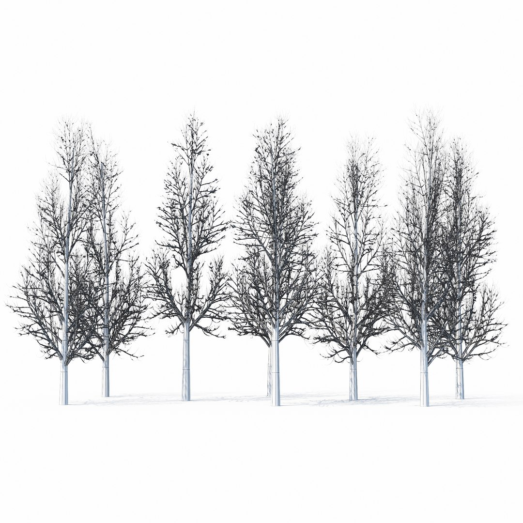 winter tree bush 3D model https://p.turbosquid.com/ts-thumb/dU/vUD9Qe/ZDu67jNd/w_01copy20/jpg/1515139101/1920x1080/fit_q87/83bf9e0e9c59c0a69df29a66ec3005597fce85dc/w_01copy20.jpg