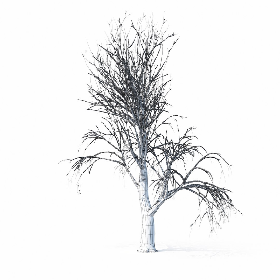 winter tree bush 3D model https://p.turbosquid.com/ts-thumb/dU/vUD9Qe/ZbTGqOxf/w_01copy6/jpg/1515139100/1920x1080/fit_q87/5a56fd63096b2d9c79889bc6cd8ef4600cb2bd49/w_01copy6.jpg