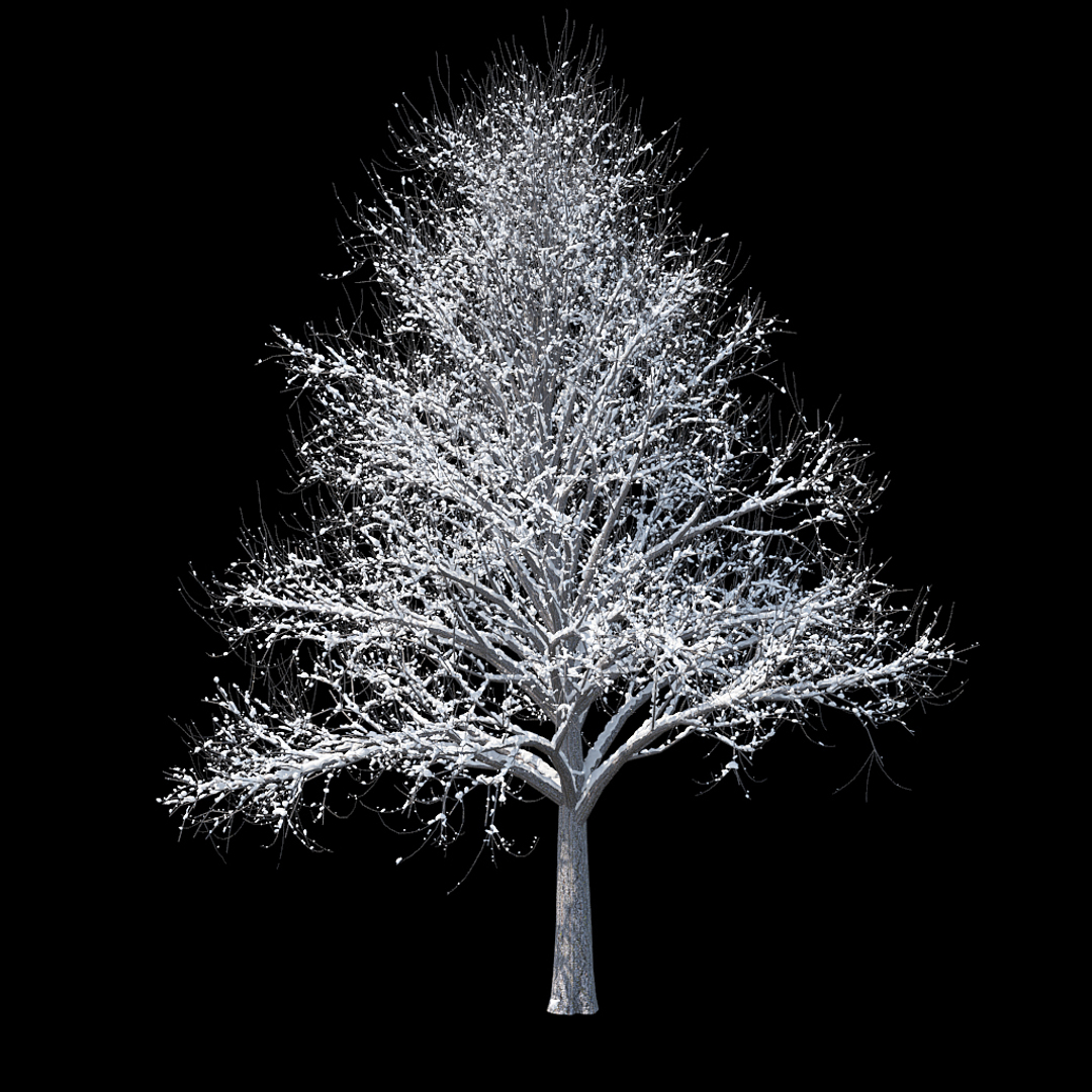 winter tree bush 3D model https://p.turbosquid.com/ts-thumb/dU/vUD9Qe/bQ8HKZil/winter_tree_turntable_0000copy/jpg/1515137479/1920x1080/turn_fit_q99/101b99979f2a8084aa19a4e11b2f16859eff3e5d/winter_tree_turntable_0000copy-1.jpg