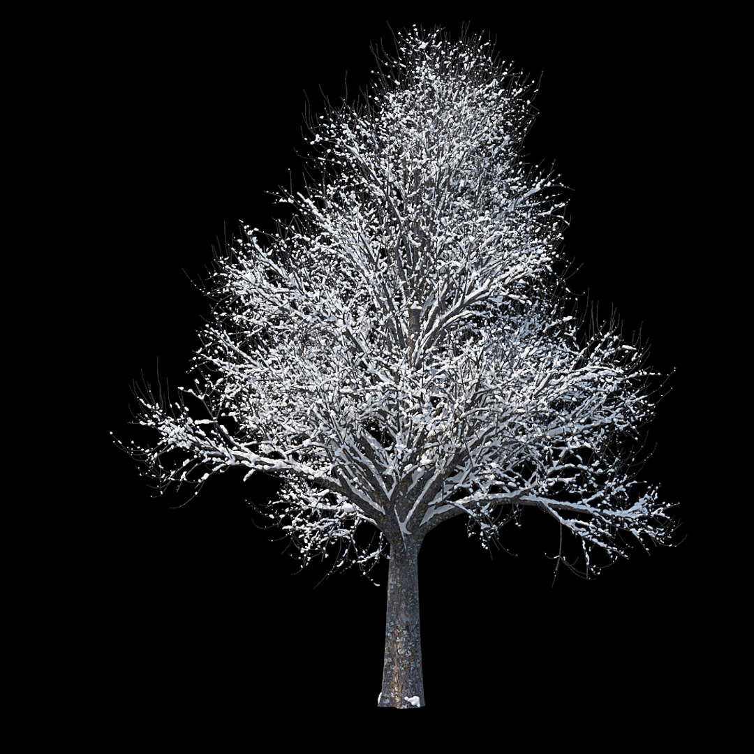 winter tree bush 3D model https://p.turbosquid.com/ts-thumb/dU/vUD9Qe/cJeH3GBy/winter_tree_turntable_0000copy/jpg/1515137493/1920x1080/turn_fit_q99/66d97ed3fe737c51bcf9532c126e04469d913933/winter_tree_turntable_0000copy-1.jpg