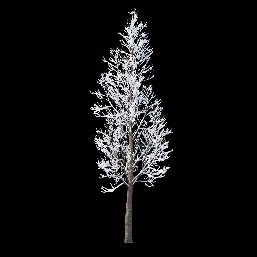 winter tree bush 3D model https://p.turbosquid.com/ts-thumb/dU/vUD9Qe/dZ9zG3f3/_winter_tree_017/jpg/1515139023/1920x1080/fit_q87/9c09b9f65165f491b5c2185ddb303af8285d50e3/_winter_tree_017.jpg