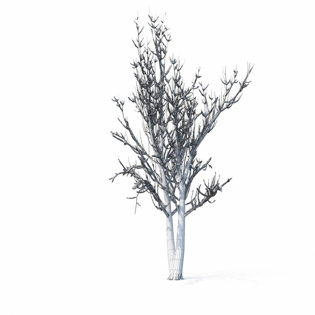 winter tree bush 3D model https://p.turbosquid.com/ts-thumb/dU/vUD9Qe/esiw25Tg/w_01copy13/jpg/1515139101/1920x1080/fit_q87/ade5f5aeabb1031ed95a1797383d5d0ba64b86ca/w_01copy13.jpg