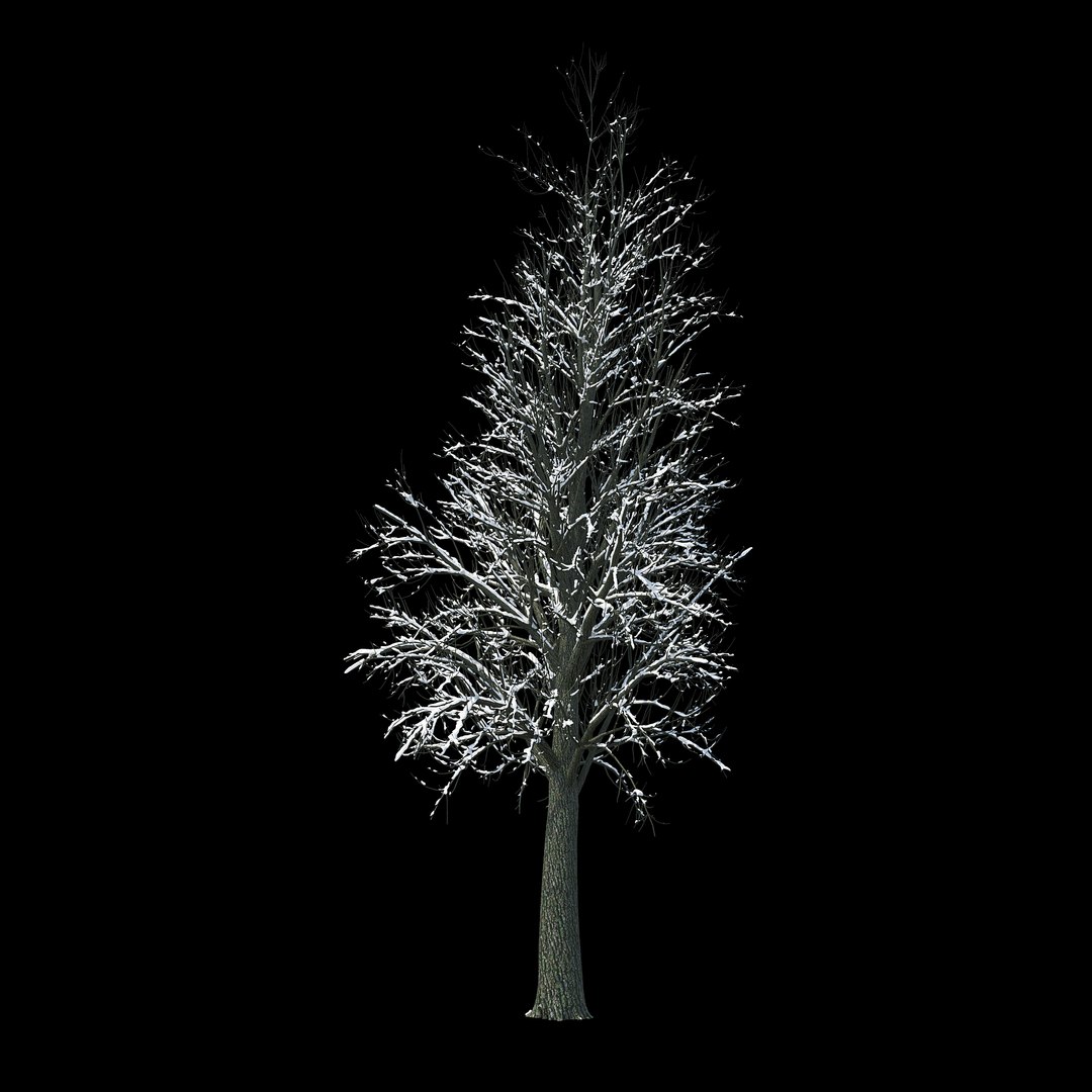 winter tree bush 3D model https://p.turbosquid.com/ts-thumb/dU/vUD9Qe/gwf8W2nl/_winter_tree_033/jpg/1515139023/1920x1080/fit_q87/4ebbec6a30b22444c2678c1c19dac4817c5b0f04/_winter_tree_033.jpg
