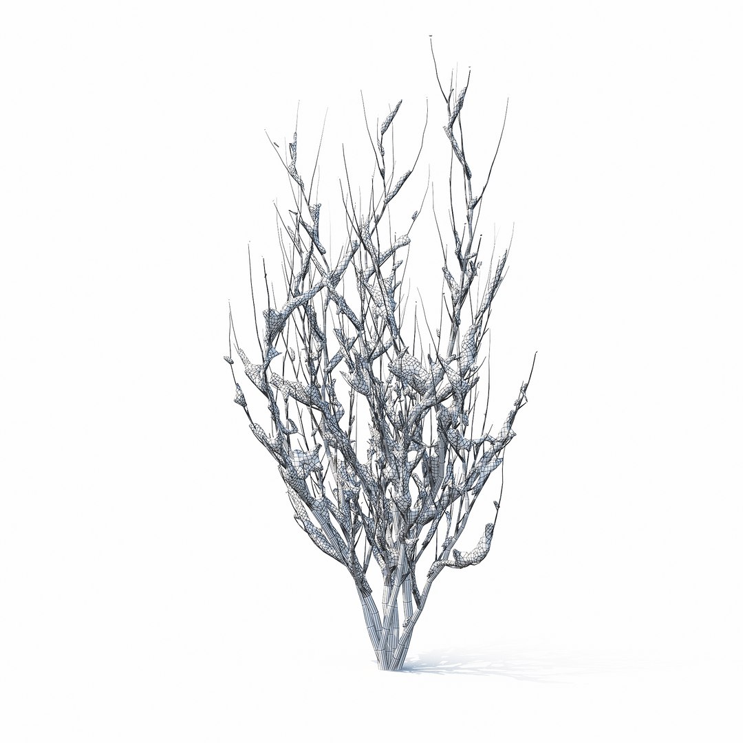 winter tree bush 3D model https://p.turbosquid.com/ts-thumb/dU/vUD9Qe/rpmtxBoc/w_01copy/jpg/1515139263/1920x1080/fit_q87/fe1992d6f6b9b8af2ab21f53644ae8c30c602003/w_01copy.jpg