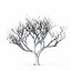 Colección Winter Tree &amp; Bush