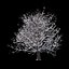 Colección Winter Tree &amp; Bush