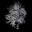Colección Winter Tree &amp; Bush
