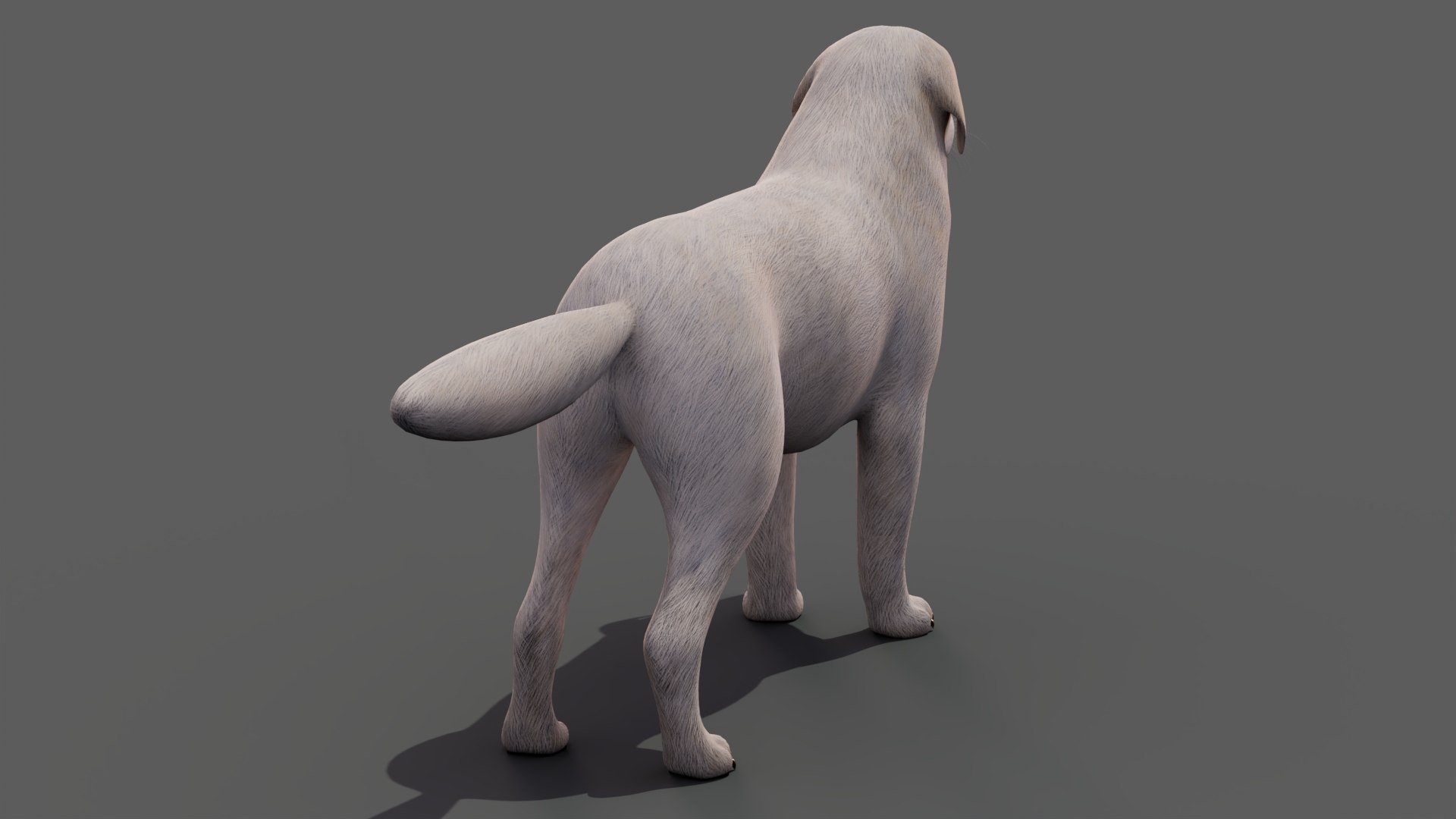 Great Pyrenees Dog 3D model https://p.turbosquid.com/ts-thumb/dU/zx2Erv/CY/greatpyreneesdog3dmodel05/jpg/1769290481/1920x1080/fit_q87/f8f493037dbe01c851ec529261a3237deff543db/greatpyreneesdog3dmodel05.jpg