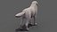 Great Pyrenees Dog 3D model