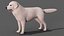 Great Pyrenees Dog 3D model