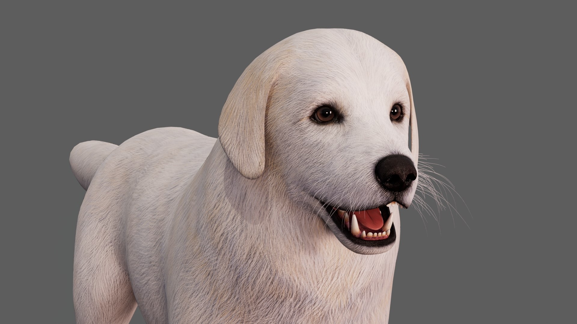 Great Pyrenees Dog 3D model https://p.turbosquid.com/ts-thumb/dU/zx2Erv/Lx/greatpyreneesdog3dmodel13/jpg/1769290484/1920x1080/fit_q87/35596f2b6fd7c46de802baadd2af77941afb84ec/greatpyreneesdog3dmodel13.jpg