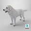 Great Pyrenees Dog 3D model