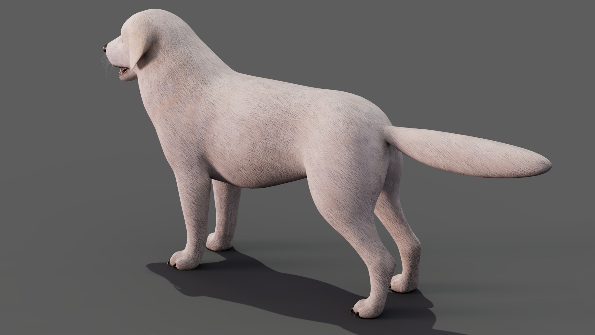 Great Pyrenees Dog 3D model https://p.turbosquid.com/ts-thumb/dU/zx2Erv/O9/greatpyreneesdog3dmodel07/jpg/1769290481/1920x1080/fit_q87/6c0e397559bd76f643ae2cdb3d6318d877b06160/greatpyreneesdog3dmodel07.jpg