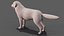 Great Pyrenees Dog 3D model