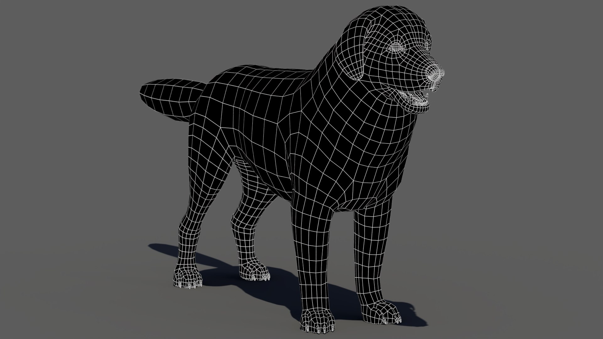 Great Pyrenees Dog 3D model https://p.turbosquid.com/ts-thumb/dU/zx2Erv/Yu/greatpyreneesdog3dmodelwireframe0/jpg/1769290485/1920x1080/fit_q87/2fd9cbb422e78d603ec564ad5cb0d3ac2890983c/greatpyreneesdog3dmodelwireframe0.jpg