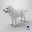 Great Pyrenees Dog 3D model