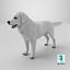 Great Pyrenees Dog 3D model
