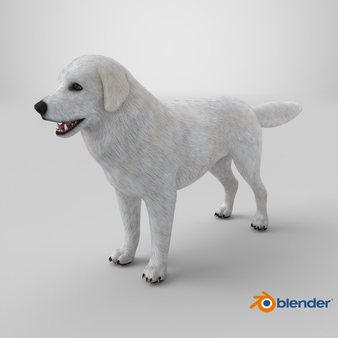 Great Pyrenees Dog 3D model https://p.turbosquid.com/ts-thumb/dU/zx2Erv/kD/stemcell_blender_cycles_render/png/1770059529/1920x1080/fit_q87/e8a774c3aeb70740e94df400603f7e85364cf719/stemcell_blender_cycles_render.jpg