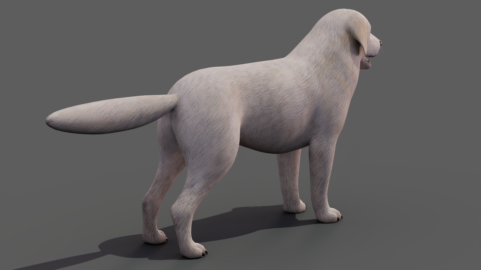 Great Pyrenees Dog 3D model https://p.turbosquid.com/ts-thumb/dU/zx2Erv/ku/greatpyreneesdog3dmodel04/jpg/1769290480/1920x1080/fit_q87/706c7dda6fc4bb426d9bad894a9a3356755f63f2/greatpyreneesdog3dmodel04.jpg