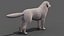 Great Pyrenees Dog 3D model