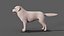Great Pyrenees Dog 3D model