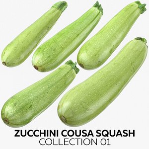 3D zucchini cousa squash 01 model